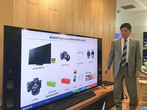 為消費(fèi)者提供更多價值 索尼中國總裁專訪聚焦軟件銷售新趨勢